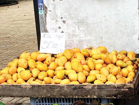 Cục Trồng trọt lên tiếng về clip xoài hạt nilon được làm giả từ Trung Quốc